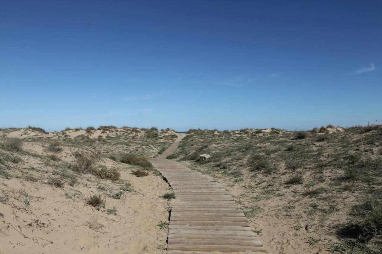 Apartamento De Lujo En La Playa Oliva Zewnętrze zdjęcie